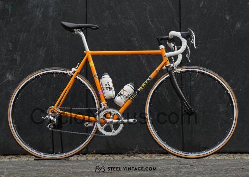Merckx Molteni scheda tecnica e recensioni